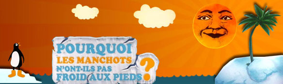manchots.jpg